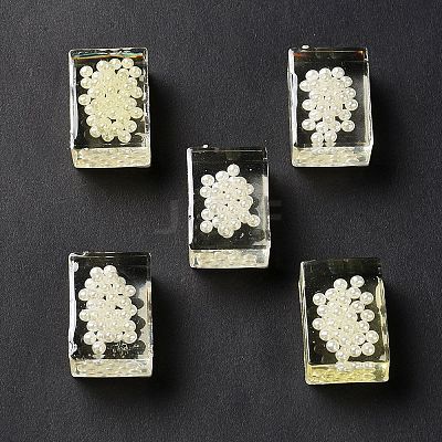 Transparent Acrylic Beads TACR-XCP0001-13-1