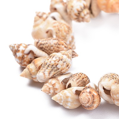 Unisex Natural Spiral Shell Stretch Bracelets BJEW-K220-01-1