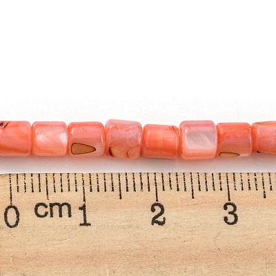 Natural Freshwater Shell Beads Strands SHEL-F008-04F-1