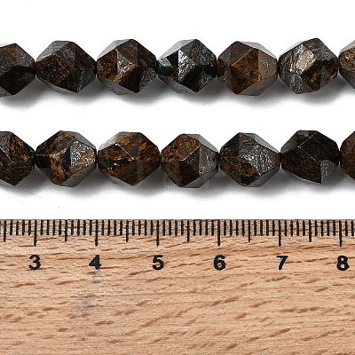 Natural Bronzite Beads Strands G-Z119-A30-03-1