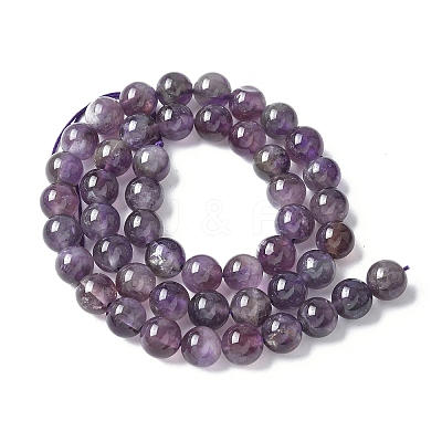 Natural Amethyst Beads Strands G-M445-8MM-01B-1