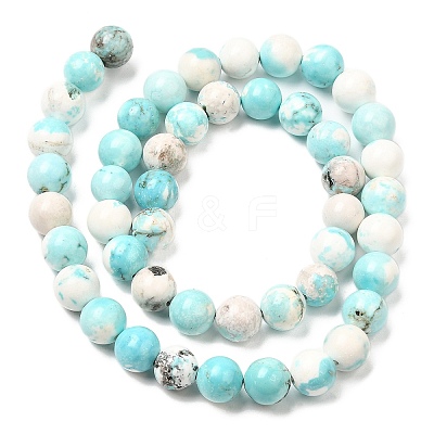 Natural Magnesite Beads Strands G-L555-02C-02-1