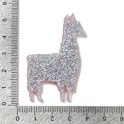 Acrylic Pendants OACR-R270-01B-1
