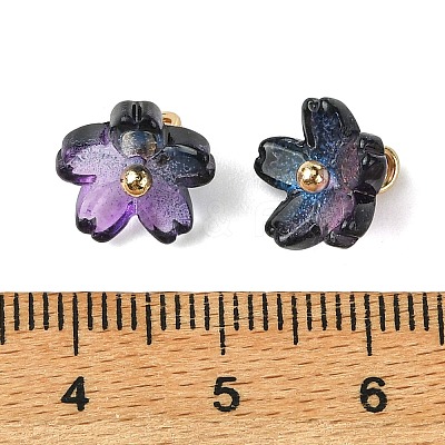 Alloy Acrylic Pendants TACR-P016-01G-12-1