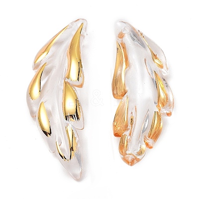 Transparent Acrylic Pendants TACR-D013-02-1