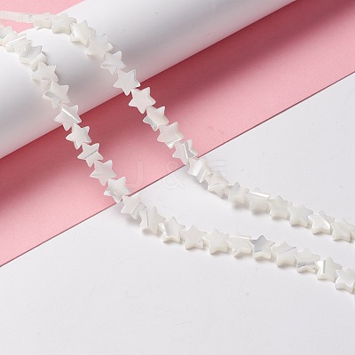 Natural Trochid Shell/Trochus Shell Beads SSHEL-O001-25B-02-1
