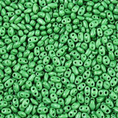 Baking Paint Glass Seed Beads SEED-T006-03F-1