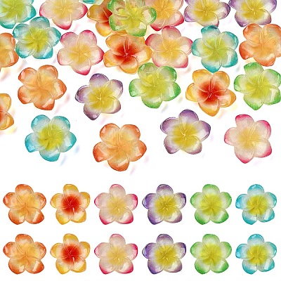 30Pcs 6 Colors Resin Cabochons RESI-YW0005-98-1