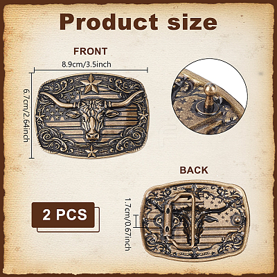 2Pcs Zinc Alloy Smooth Buckles FIND-NB0007-31A-02-1