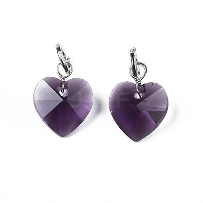 Faceted Transparent Glass Charms GLAA-T024-04-1