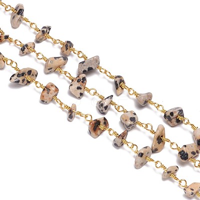 3.28 Feet Handmade Natural Dalmatian Jasper Beaded Chains X-CHC-F007-13-1