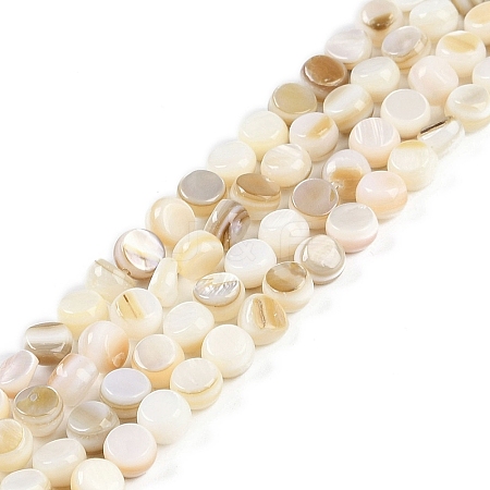 Natural Freshwater Shell  Beads Strands BSHE-H109-11-1