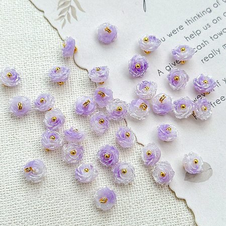 Two Tone Transparent Resin Charms RESI-CJC0023-19F-1