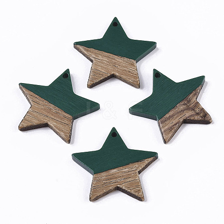 Resin & Wood Pendants LS-X-RESI-T023-23E-1