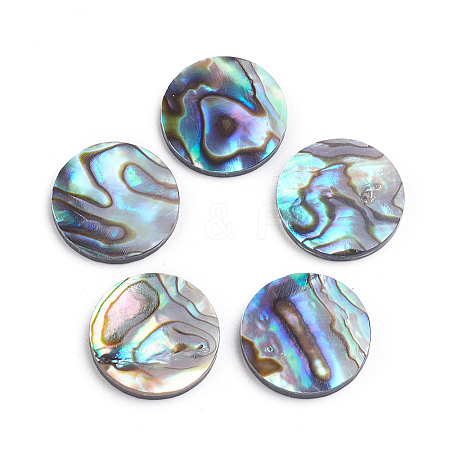 Natural Abalone Shell/Paua Shell Cabochons LS-SSHEL-L017-001-1