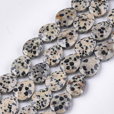 Natural Dalmatian Jasper Beads Strands G-S354-05-1