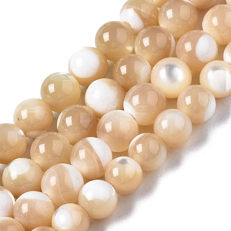 Natural Trochid Shell/Trochus Shell Beads Strands SSHEL-S266-023B-02-1