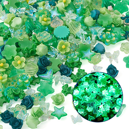 30g Luminous Opaque Resin Cabochons CRES-TA0001-55B-1