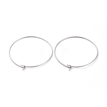 316 Surgical Stainless Steel Hoop Earring Findings STAS-J025-01E-P-1
