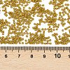 MIYUKI Delica Beads SEED-MY11-DB0665-3