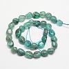 Natural Apatite Bead Strands G-L459-13-2