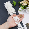 2Yards Polyester Flower Embroidery Lace Trim with Glass Beads OCOR-DC0001-27A-3