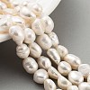 Natural Cultured Freshwater Pearl Beads Strands PEAR-P062-30B-2