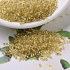 MIYUKI Delica Beads X-SEED-J020-DB0042-1