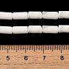 Natural Howlite Beads Strands G-B091-A17-01-5