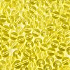 FGB Transparent Glass Seed Beads SEED-N013-01C-03-4