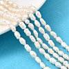Natural Cultured Freshwater Pearl Beads Strands PEAR-I007-01P-03B-1