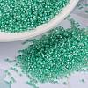 MIYUKI Round Rocailles Beads SEED-G009-RR0571-1