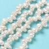 Natural Cultured Freshwater Pearl Beads Strands PEAR-J007-67-2
