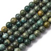 Natural Shoushan Jade Beads Strands G-L624-A01-8mm-2