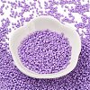 Baking Paint Glass Seed Beads X-SEED-S042-05B-71-2