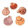 Electroplate Multicolor Sea Shell Pendants X-SSHEL-S262-31-1