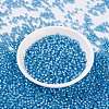 MIYUKI Round Rocailles Beads SEED-G007-RR0573-2