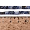 Natural Blue Spot Jasper Beads Strands GG-N002-01A-25-5