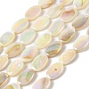 Natural Freshwater Shell Beads Strands X-BSHE-H018-06-1