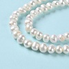 Natural Cultured Freshwater Pearl Beads Strands PEAR-E018-57-4