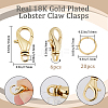 Beebeecraft 6Pcs Brass Swivel Lobster Claw Clasps DIY-BBC0001-51-2