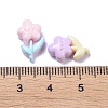 Opaque Cute Resin Decoden Cabochons RESI-B024-03K-3