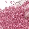 TOHO Round Seed Beads SEED-JPTR11-0987-1