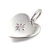 925 Sterling Silver Micro Pave Clear Cubic Zirconia Charms STER-V001-01P-10-2