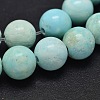 Natural Howlite Beads Strands TURQ-P027-17-10mm-1