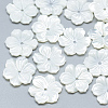 Natural White Shell Beads SSHEL-S260-062C-1