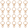20Pcs Alloy Swivel Key Chain Spring Gate Clasp FIND-AN0001-54-1