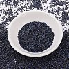 MIYUKI Delica Beads SEED-MY11-DB2191-2