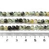 Natural Prehnite Beads Strands X-G-B088-E16-04-5