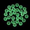 Luminous Transparent Acrylic Beads TACR-Q013-07A-5